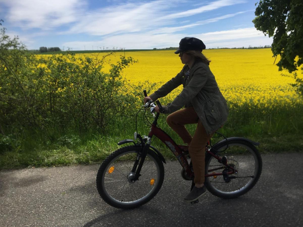 Alloggio per agriturismo La Petite France Parnowo